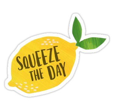 Squeeze the Day 3 vinyl stickers