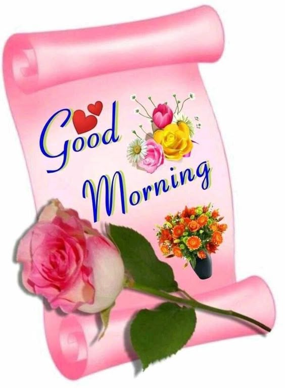 Good Morning Scroll
