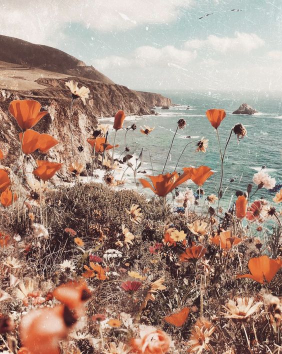 Inspiration 63 / Super Bloom — Weekend Creative