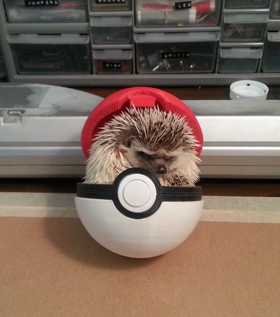 now this is what i call a POKY BALL!!!! get it? <3