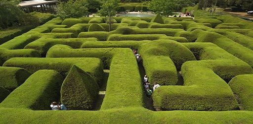 Ashcombe Maze