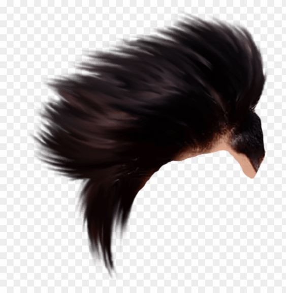cb editing hair PNG image with transparent background png - Free PNG Images