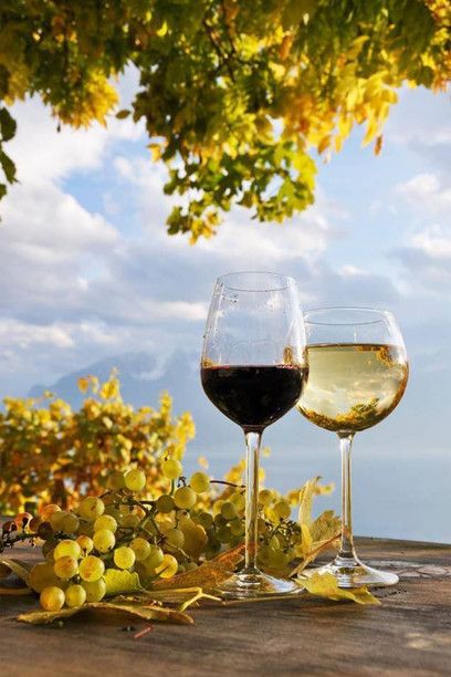 Italian wine