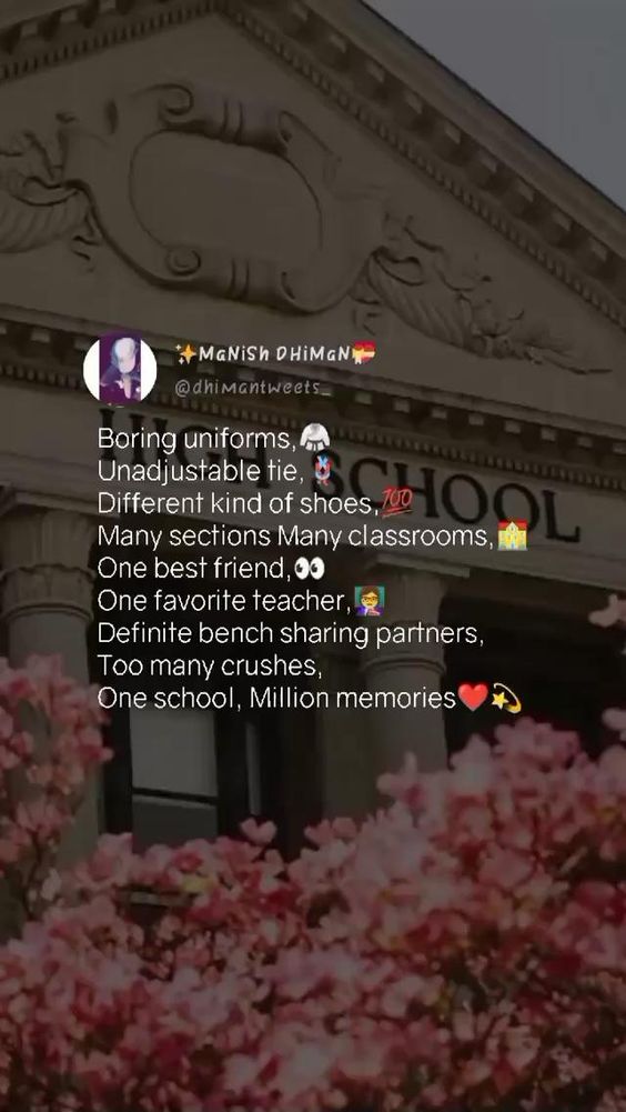 xml-school-life--love