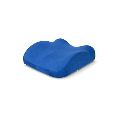 Symple Stuff Fauntleroy Indoor Outdoor Backrest Pillow Backrest