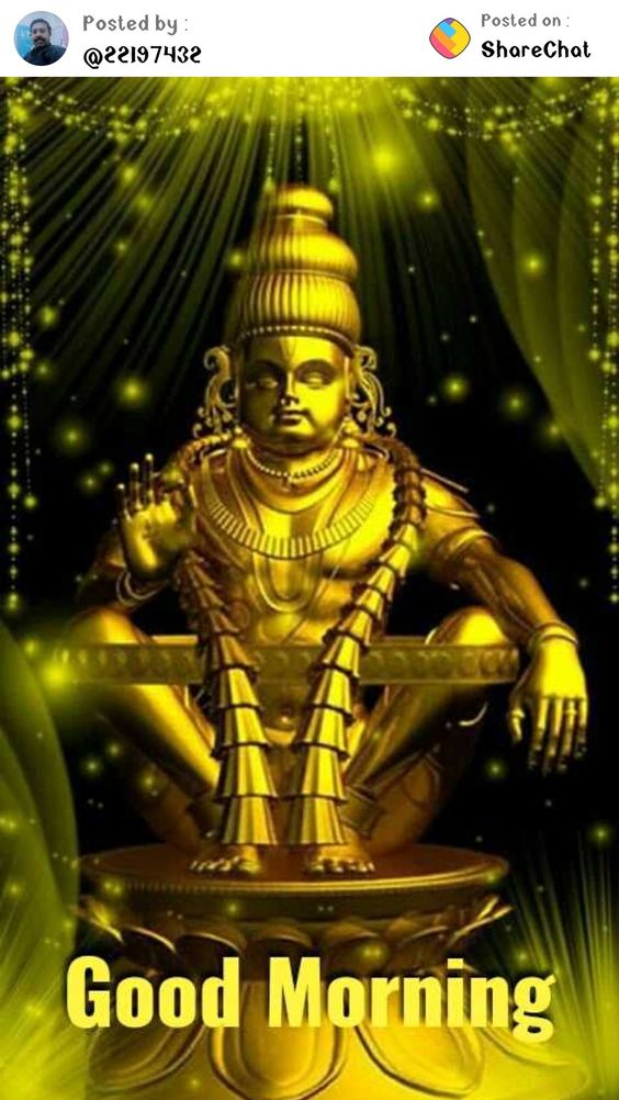 janavar-photo-3d