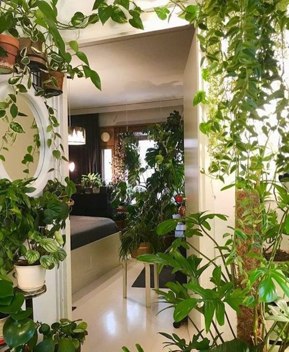planters all over a home even in the bedroom #gardenIdeas #garden #gardening #plants #homeDecor #indoor