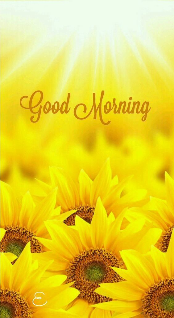 Good Morning