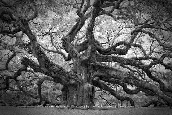 Black and white print wedderburn castle duns scotland kimara wilhite photography pinterest castles and scotland Black and white print wedderburn castle duns scotland kimara wilhite photography pinterest castles and scotland