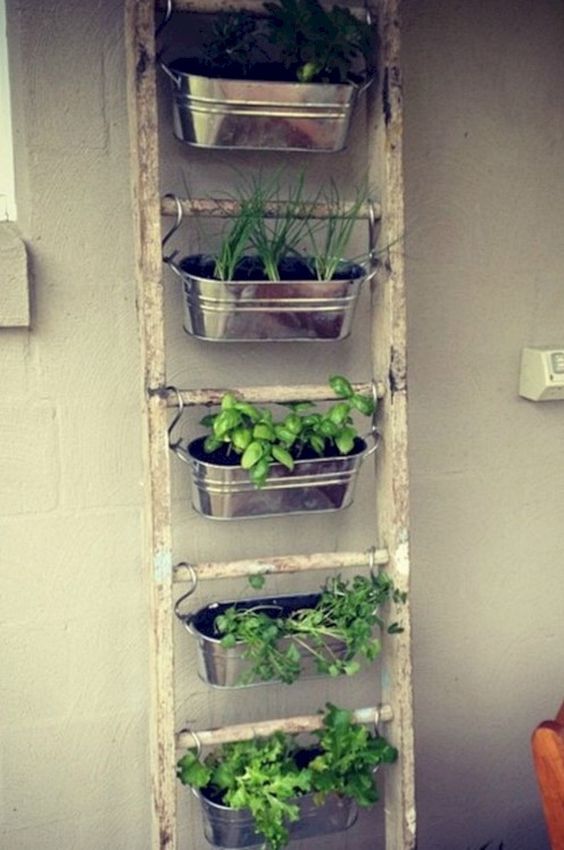 hang indoor planters on an old ladder #gardenIdeas #garden #gardening #plants #homeDecor #indoor #verticalGarden