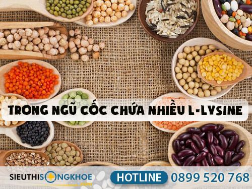 Phân tÃch L-Lysine thà nh phần viên uống giảm cân Fuji Diet