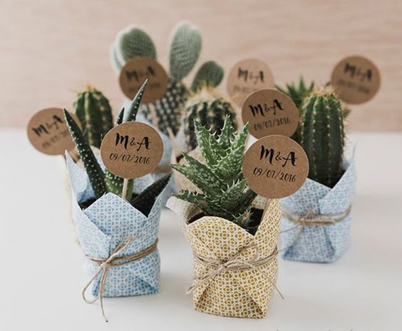 Preciosos mini cactus, que no necesitarán mucho cuidado por tu parte ;) #bodas #Antequera #Jardinesdelcortijuelo #invitados #regalos #cactus #plantas #ideas #boda