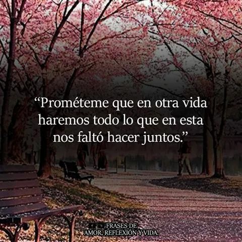 Si Existe Otra Vida Despues De Esta Te Buscare Y Aremos Todo Lo Que En Esta Vida Nos Falto Hacer Te Extrano Frases Vida Frases De Amor