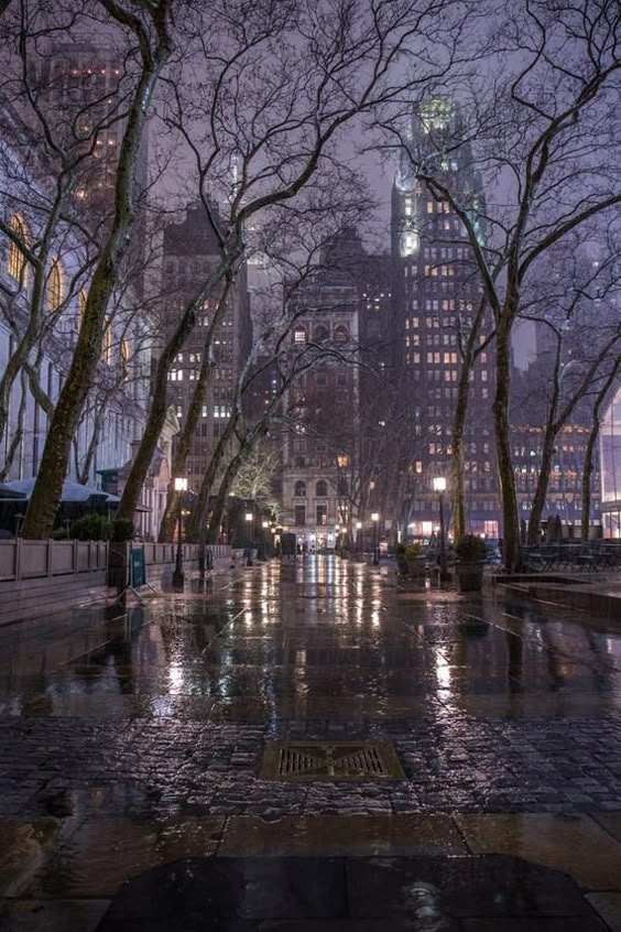 Bryant Park During the Rain - Magical New York in the Fog - New York at Night - New York City Photog