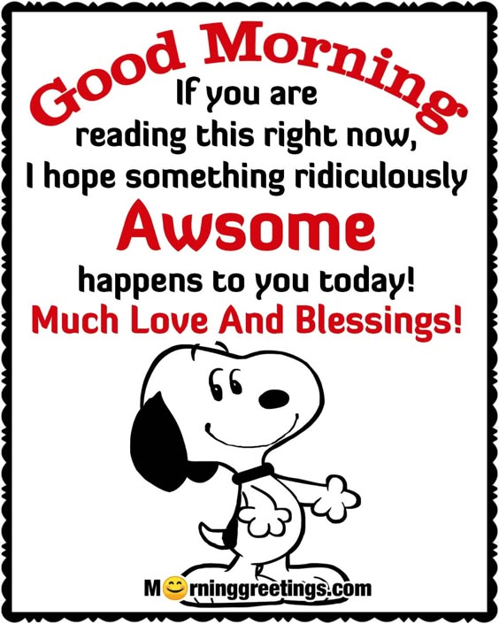 60 Good Morning Messages With Amazing Images - Morning Greetings – Morning Quotes And Wishes Images