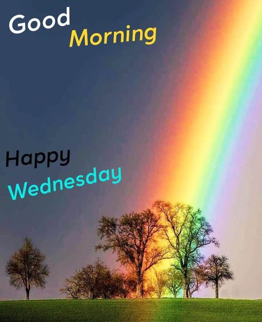 Happy Wednesday Good Morning Images || Good Morning Happy Wednesday Images || Whatsapp Wednesday Good Morning Images || Good Morning Wednesday Images