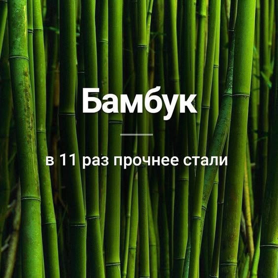 факти-бг