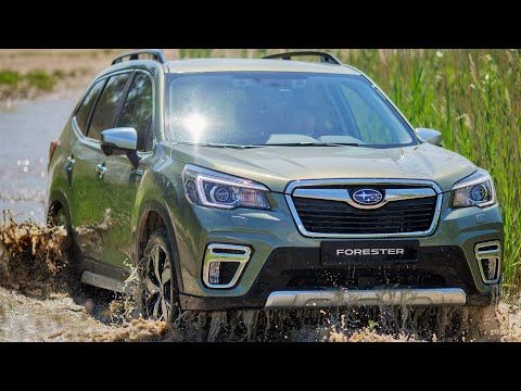 Subaru Forester E Boxer 2019 Subaru Forester Subaru Family Suv