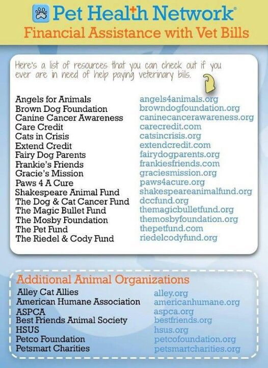 Resp Aid For Dogs Dog Cancer Canine Cancer Pet Insurance Reviews