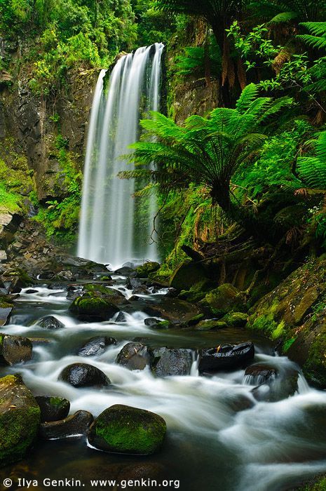 Waterfall Hopetoun Falls Aire River Otway Forest Australia