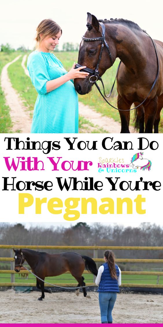Being pregnant you may have decided to wait on riding your horse until after your baby is born. As you wait for your new addition to enter the world, you might be wondering what fun things you can do with your horse as well as what you can do to prepare yourself as a horse owner and a soon to be mom. So What To Do With Your Horse While You Are Pregnant?