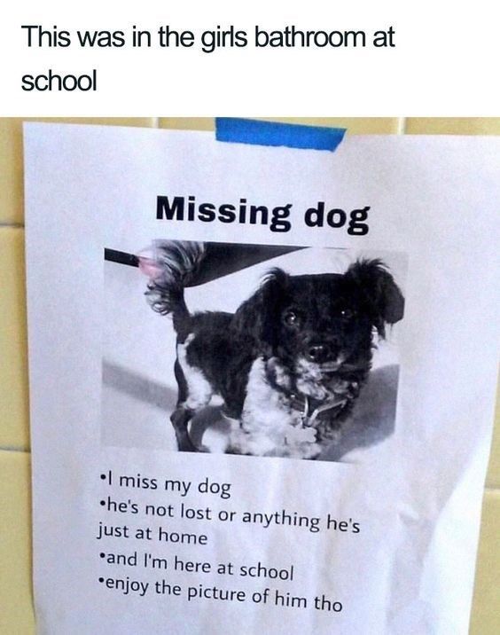 Wholesome Animal Memes To Start The Week Off Right Miss My Dog
