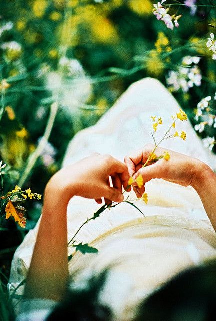 Instructions for a Life: Pay attention. Be astonished. Tell about it. ~Mary Oliver