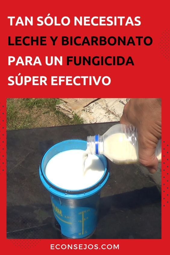 Pin En Proyectos Que Intentar