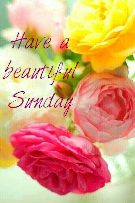 90 Inspirational Sunday Morning Quotes, Wishes, Images
