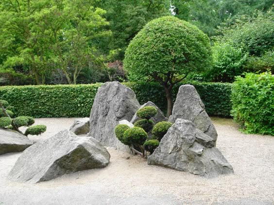shapes of the garden More More
