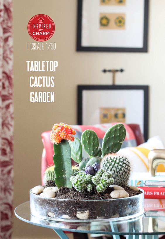 Tabletop Cactus Garden Tabletop Cactus Garden, Tabletop Cactus Garden Ideas