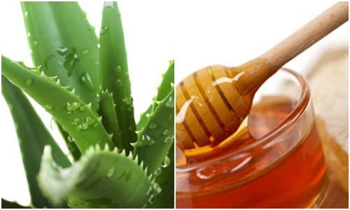 Nha đam và mật ong là sự kết hợp hoàn hảo giúp dưỡng tóc và làm đẹp.
