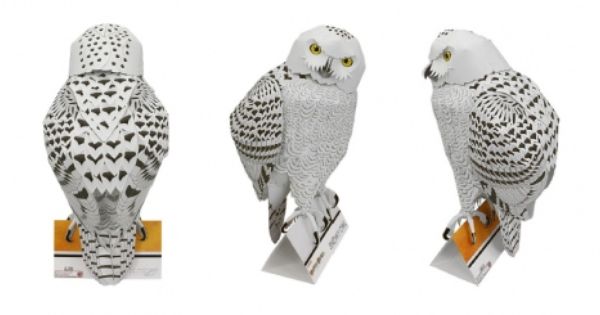 Owl ball pdf free download free Owl ball pdf free download free