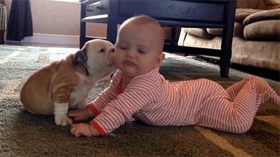 This Tiny Bulldog Giving This Baby Human Some Wet Kisses Dogs
