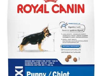 Royal Canin Size Health Nutrition Large Breed Puppy Dry Dog Food