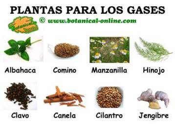 Medicamentos para gases estomacales
