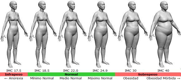 Calculadora De Dieta Y Porcentaje De Grasa Corporal Obsess