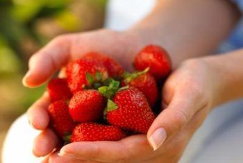 Homemade Fertilizer For Strawberry Plants Homemade Fertilizer For Strawberry