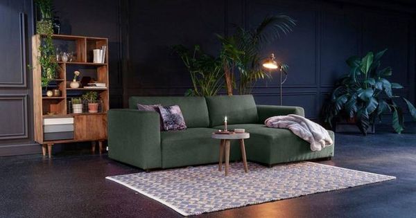 Azaleia Curiosities How To Care And 60 Decoration Photos In 2020 Storage Furniture Living Room Minimalist Home Decor Modern Apartment Decor