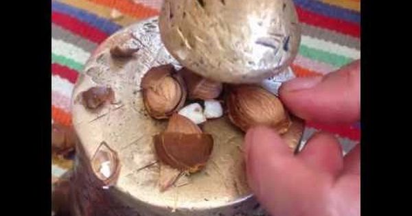 فوائد الترمس واضراره فوائد الترمس المر لعلاج الكثير من الامراض Food Vegetables