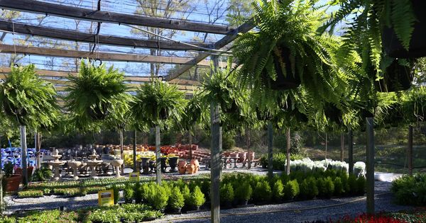 Image Result For Garden Center At Resu Lawn And Family - Armstrong Garden Centers Torrance Ca Image Result For Garden Center At Resu Lawn And Family - Armstrong Garden Centers Torrance Ca