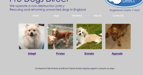 Pdd 2014 Update Rehoming Doggy Dogs