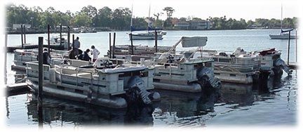 Pontoon boat rentals crystal river fl
