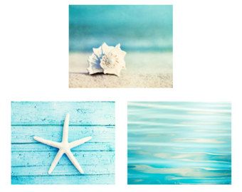Ocean Starfish Sea Shell Beach Bathroom # 1 Wall Picture 8x10 Art Print