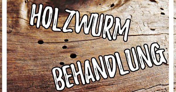 Holzwurmer Bekampfen Holzwurm Loswerden Hausmittel Mit Eicheln Entfernen Holzwurmer Bekampfen Holzwurm Holz