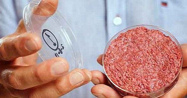 禁忌 人間の細胞 で作った培養肉はカニバリズムのタブーを打ち破る リチャード ドーキンスの問いに世界が激論 培養肉 肉 菜食主義者 禁忌 人間の細胞 で作った培養肉はカニバリズムのタブーを打ち破る リチャード ドーキンスの問いに世界が激論 培養肉 肉 菜食主義者