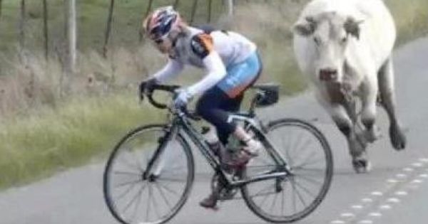 Pin von Michael auf BIKEBABES in 2020 | Rennrad, Fahrrad Pin von Michael auf BIKEBABES in 2020 | Rennrad, Fahrrad
