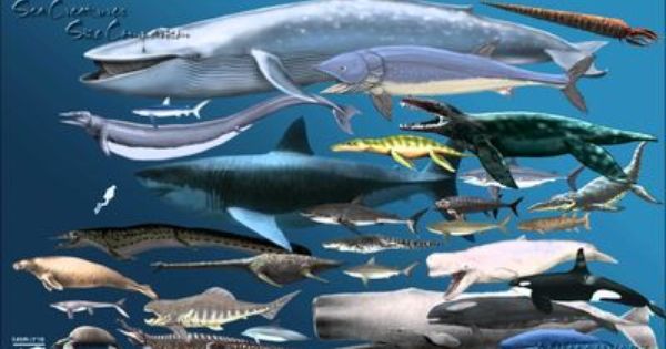 Sea Monster Mosasaurus Coloring Page - Thekidsworksheet