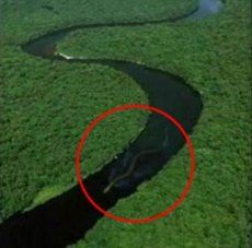 World S Biggest Snake Of 100 Feet Found In Amazon River Basin Facts Analysis Pranks Giant Snake World Biggest Snake Biggest Snake World S Biggest Snake Of 100 Feet Found In Amazon River Basin Facts Analysis Pranks Giant Snake World Biggest Snake Biggest Snake