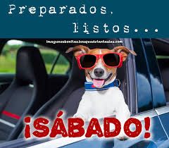 En Modo Sabado Imagenes De Feliz Sabado Feliz Sabado Gracioso